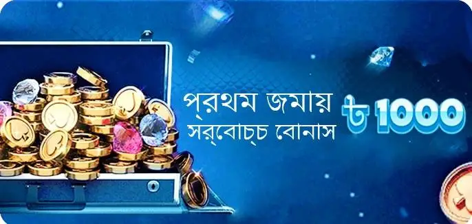 bdwin24